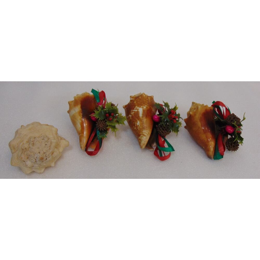 Conch Shell Christmas Decoration Ornament Holly Ribbon Pine 4 Shells Rare Find
